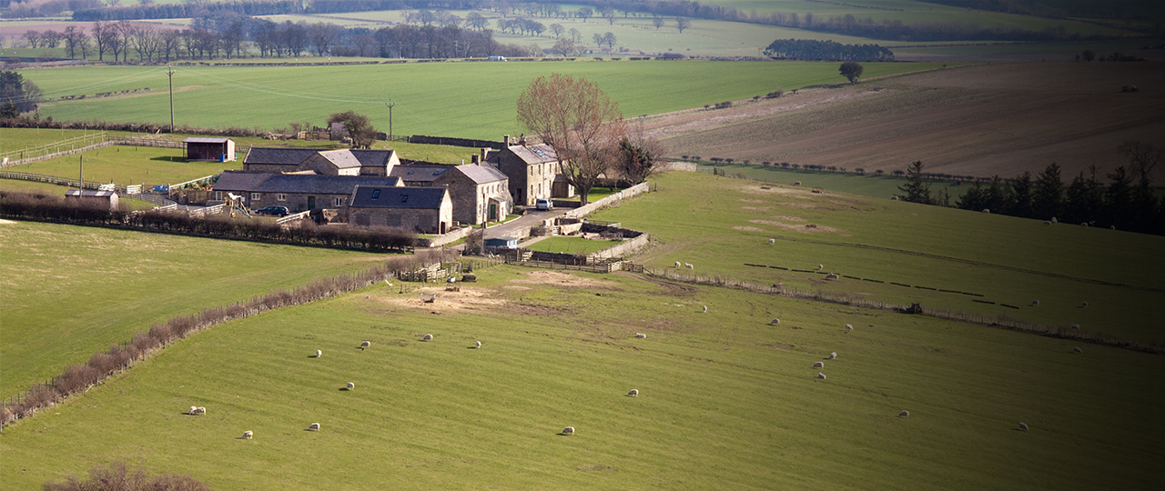 Morpeth office of Strutt & Parker announces new head of farming