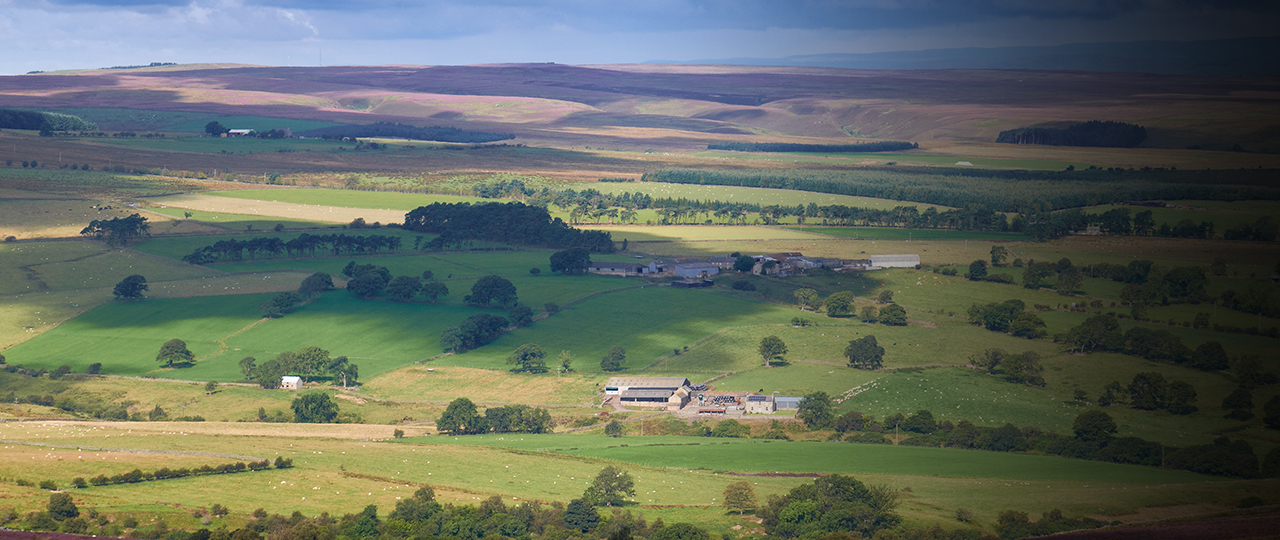 Three new consultants for Strutt & Parker’s Morpeth office Strutt