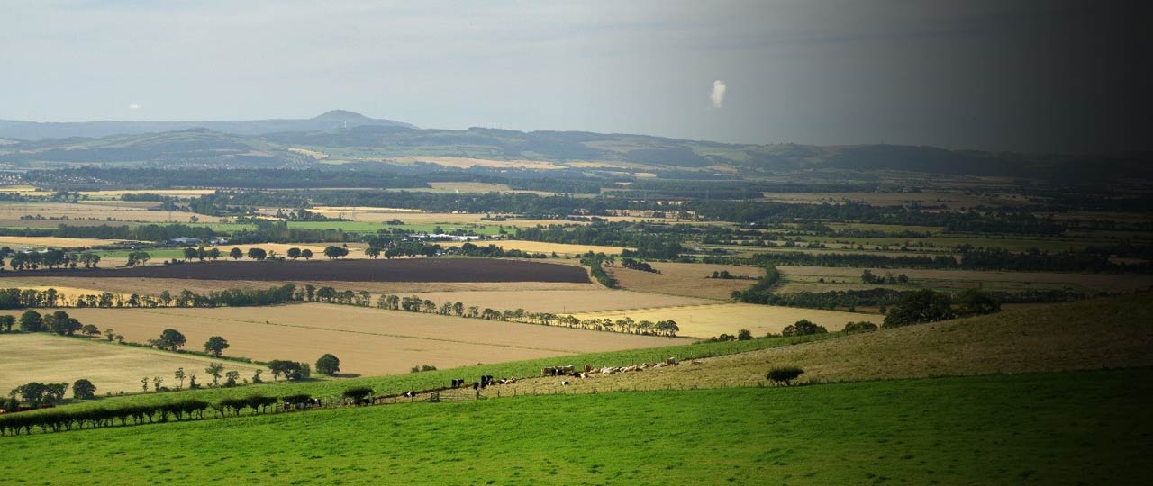 Scottish Farmland Market Review Spring 2017 Strutt & Parker