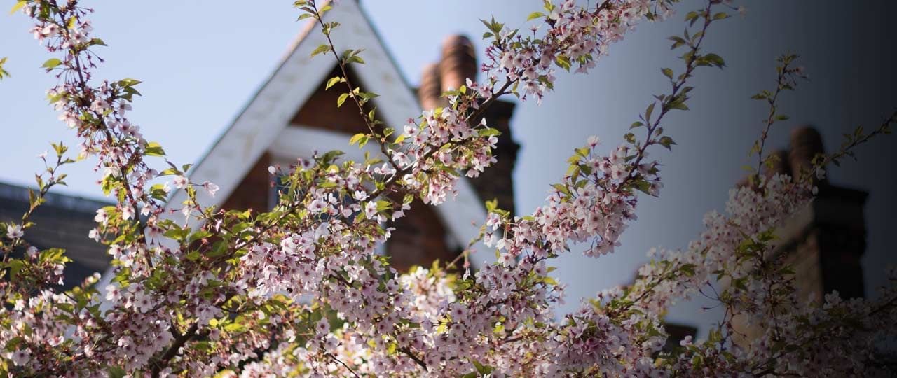 1280x540_springlettings_120319