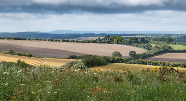 berkshire Header