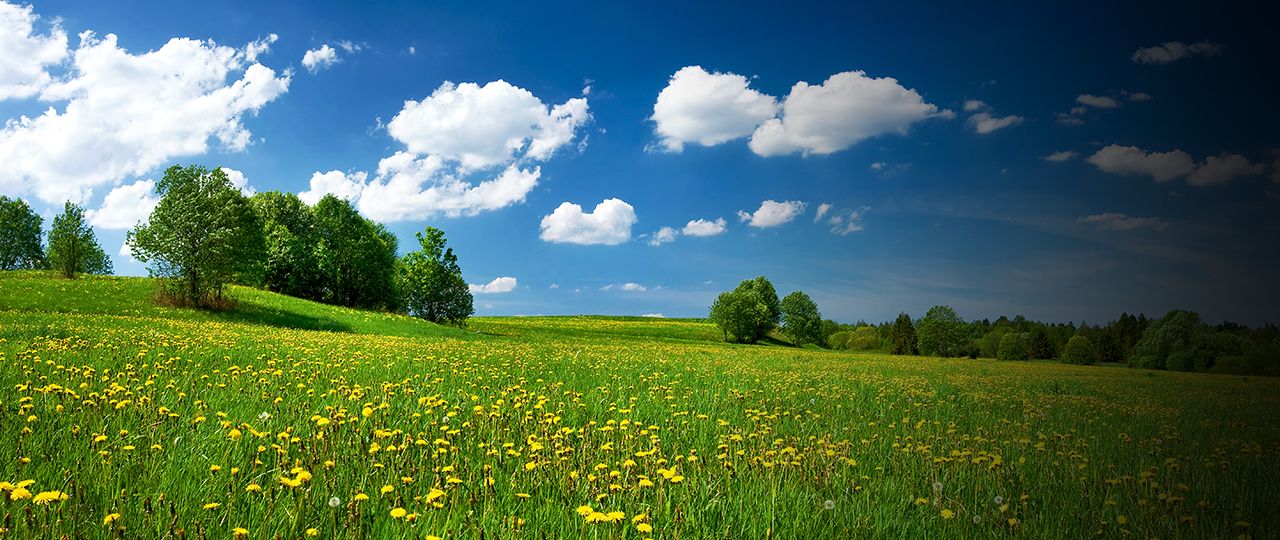 blog_header_ELMS