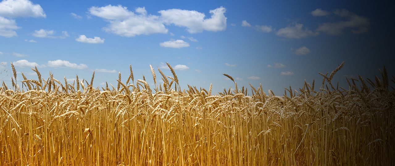 blog_header_farming-update-summer-18