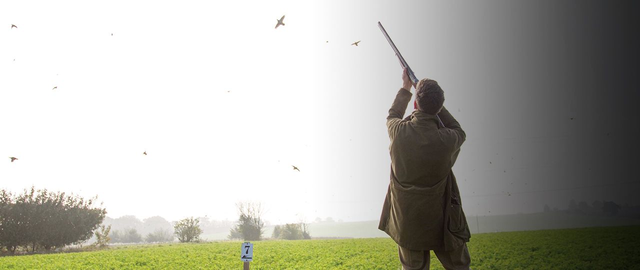 blog_header_game-shoot-census-18