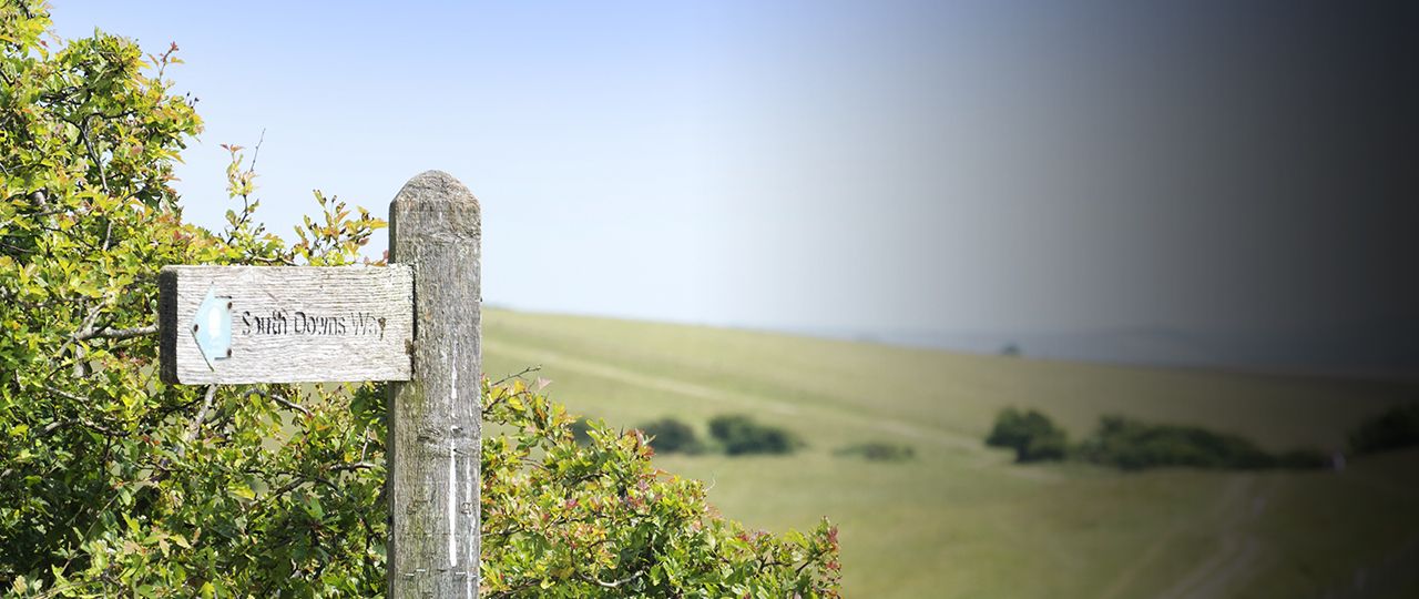 blog_header_natural-capital