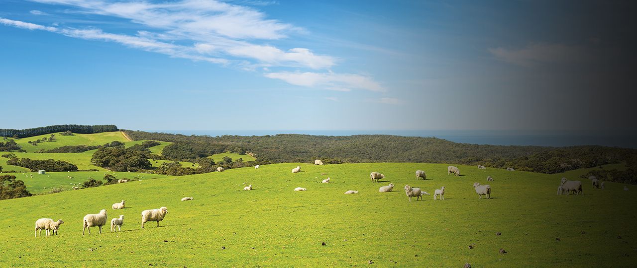 blog_header_rural-awards_v2