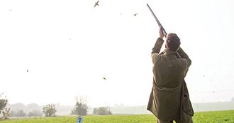 blog_thumb_game-shoot-census-18