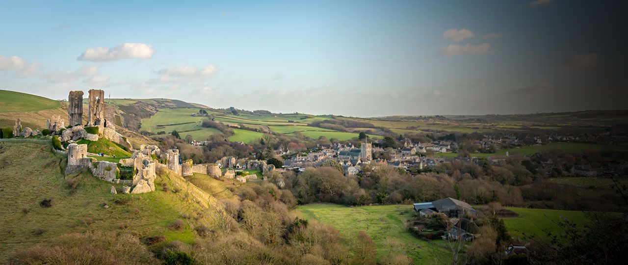 dorsetSTOCK-WEB