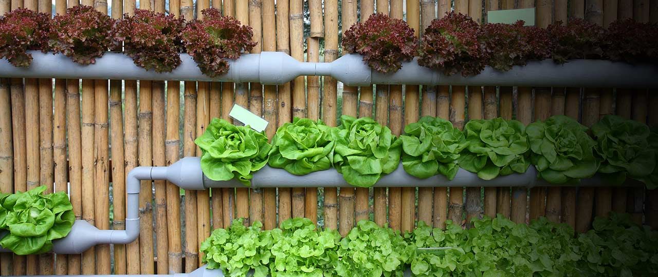 eco-friendly-trends-18-header