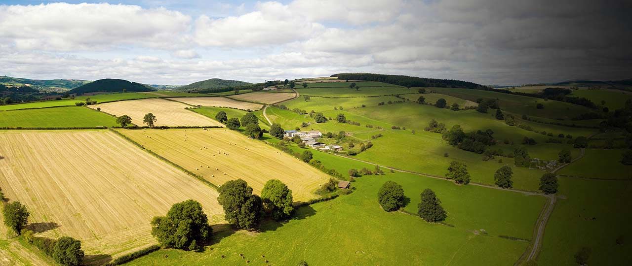 farmland-market-header