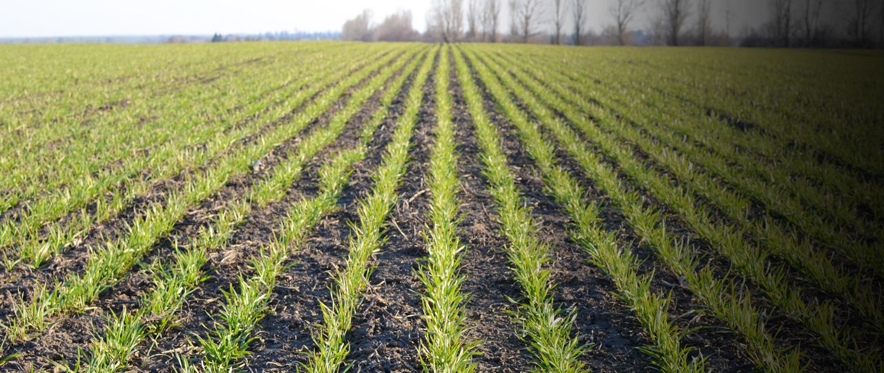 harvestyield