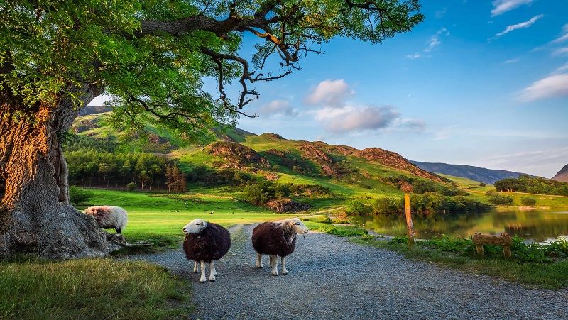 Lake District