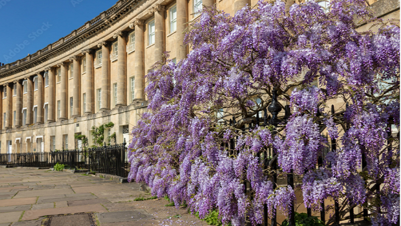 RoyalCrescent