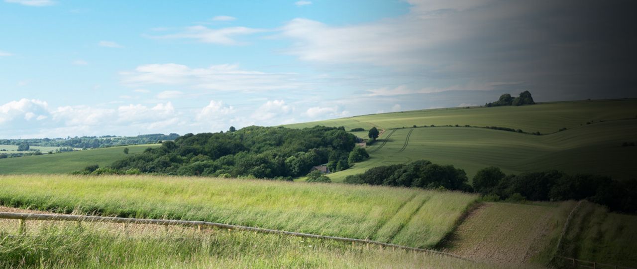 website-banner
