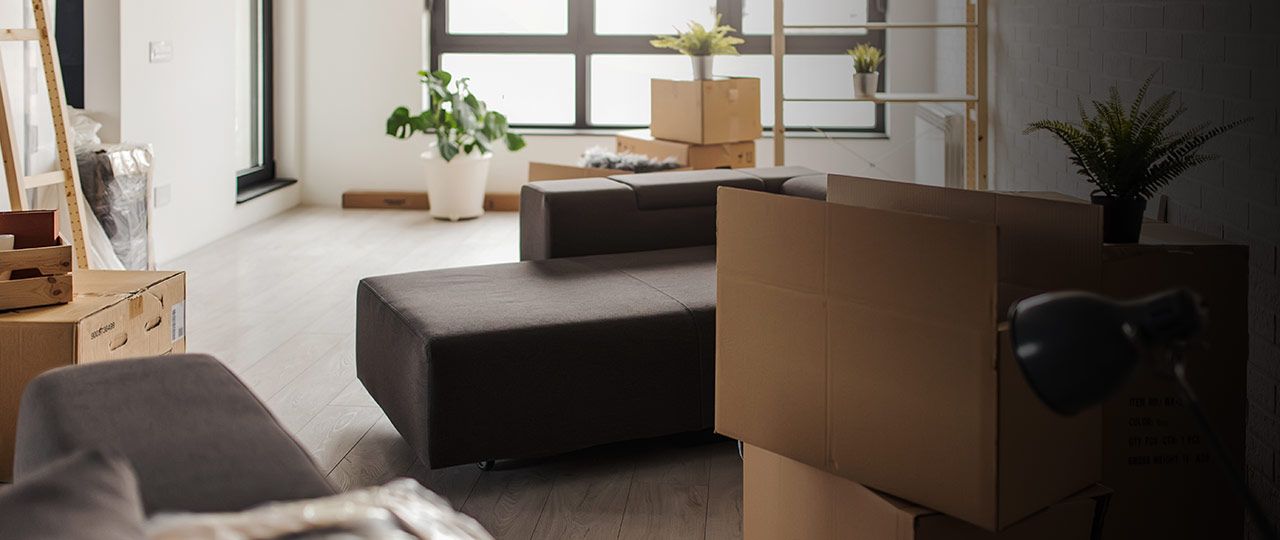 Website_Header_Moving-out_Amelia-Daniel